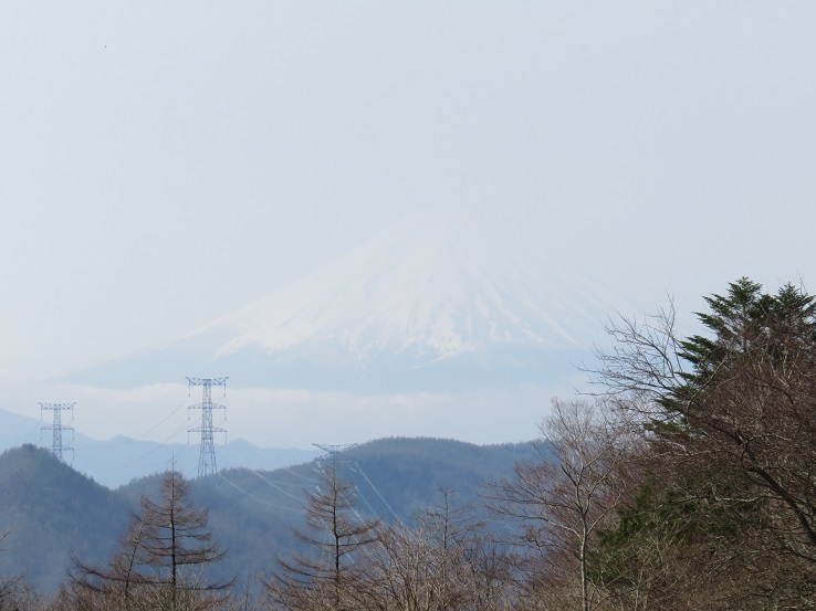 丸川峠からの富士山の眺め