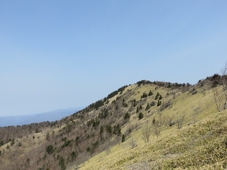 振り返っての大菩薩嶺