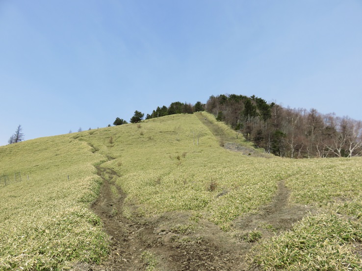 振り返っての熊沢山