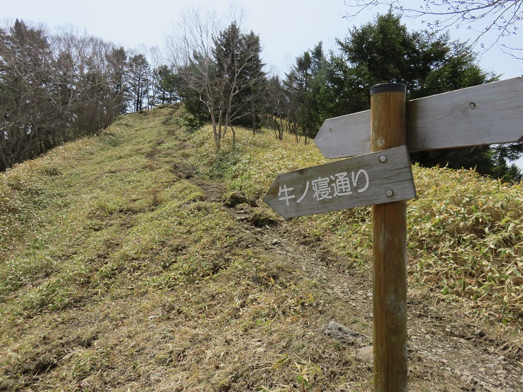 牛ノ寝通り入口
