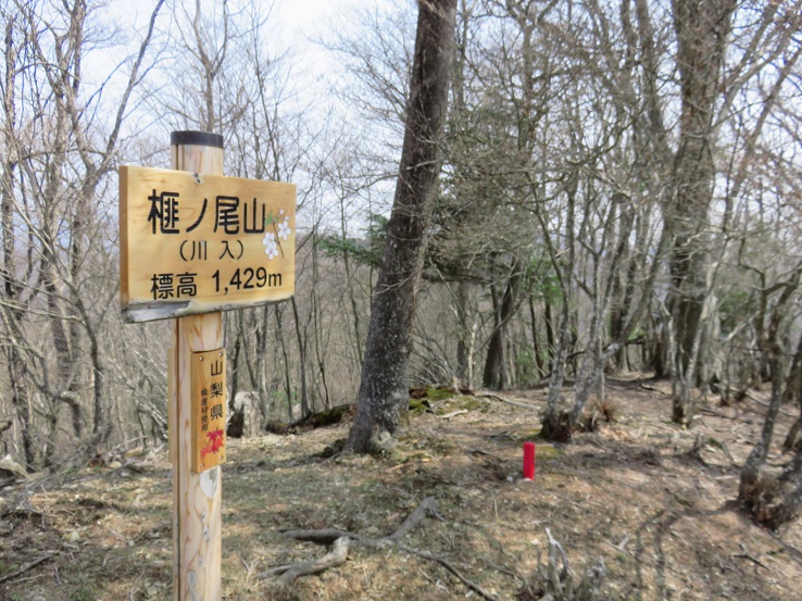 榧ノ尾山