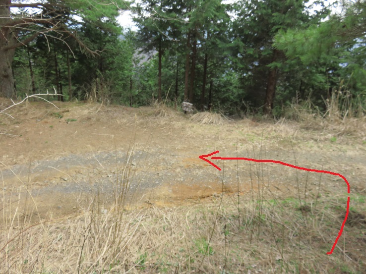 西原峠・三ツ森北峰方面の林道と合流道標