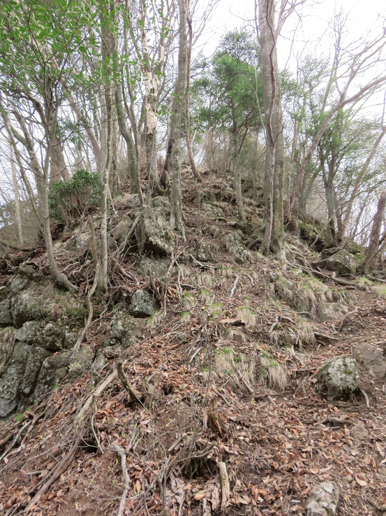 大寺山から先も難路