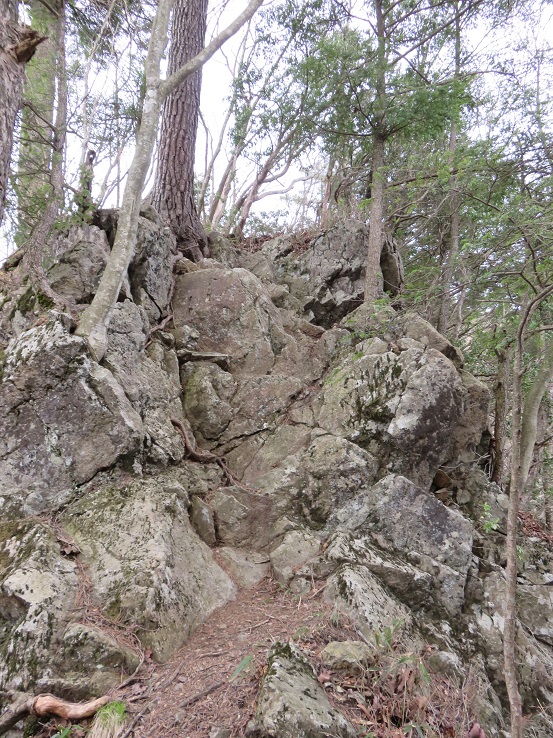 麻生山登山道岩場