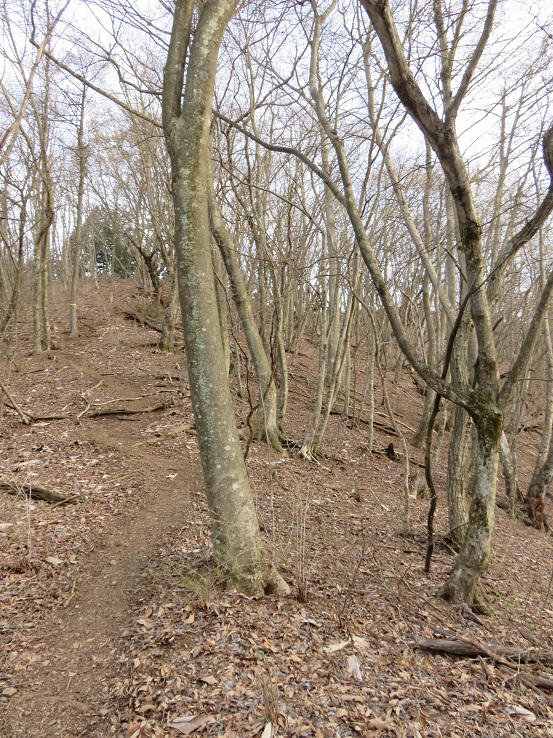 扇山山頂が見えた
