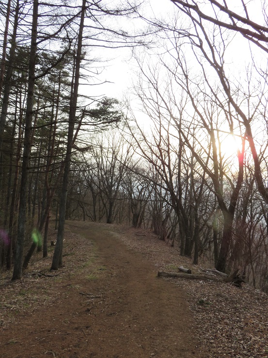 扇山日没間際