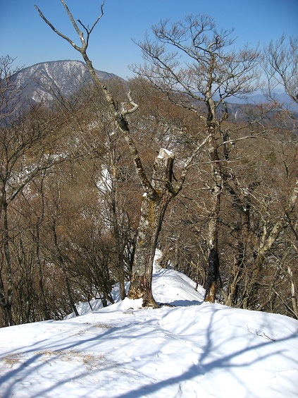 甲相国境尾根積雪