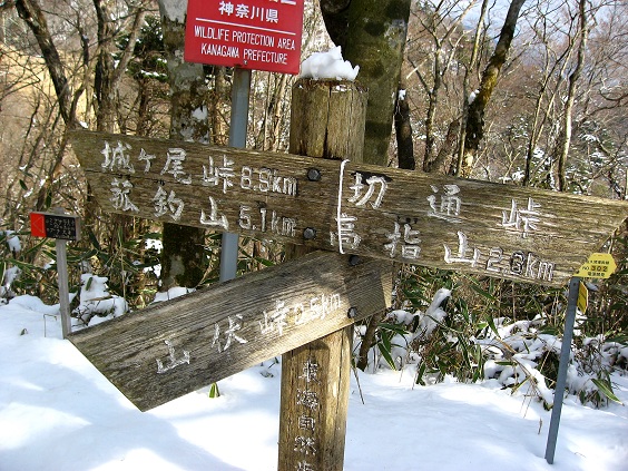 大棚沢ノ頭の分岐