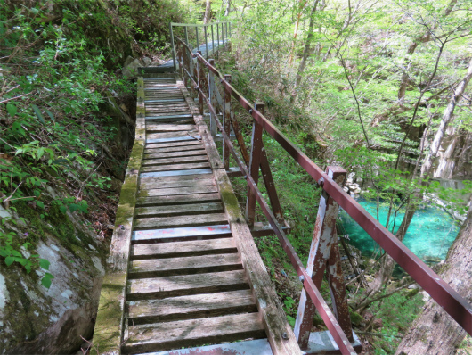 登山道