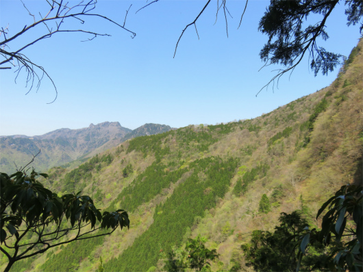 山上ヶ岳方面