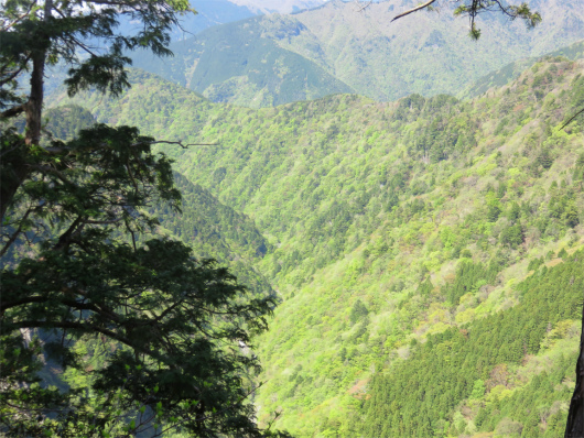 弥山川双門ルート