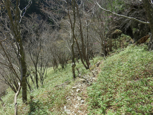 河原小屋への急な下り道