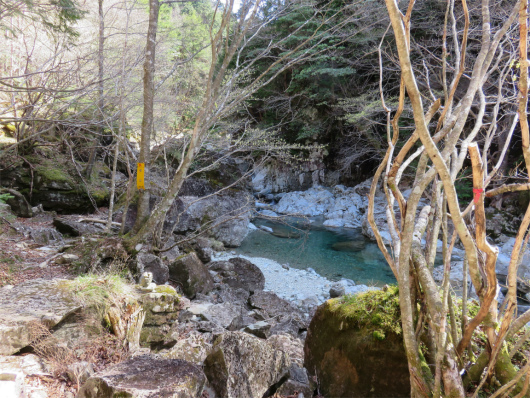 弥山川の河辺