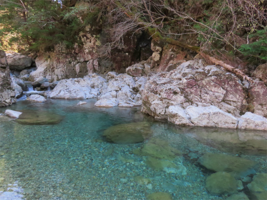 双門の滝・弥山川双門ルートの川に魚