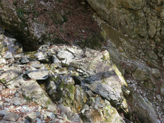 河原小屋跡までの荒れた登山道