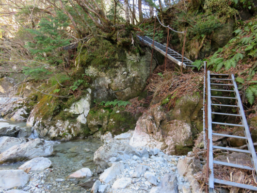 土砂崩れ地帯沢沿いの梯子