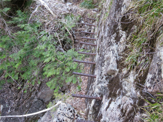 弥山川双門ルート鉄杭の上を歩く