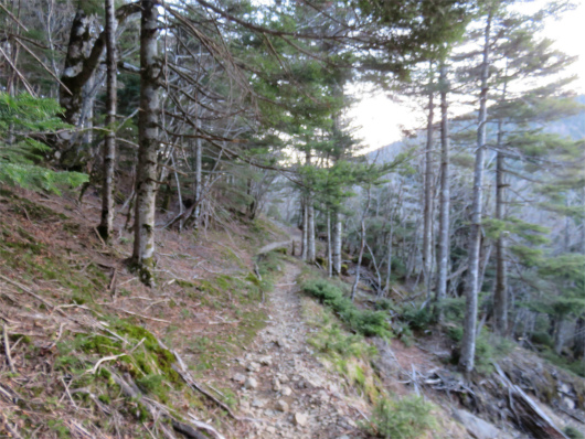狼平避難小屋周辺緩やかな八経ヶ岳登山道