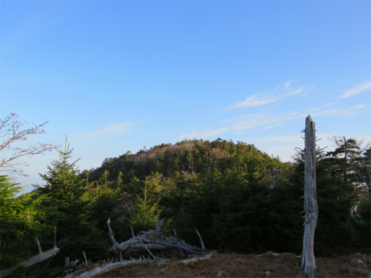振り返っての日裏山