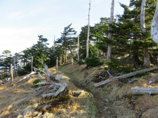 八経ヶ岳へ至る奥駆道