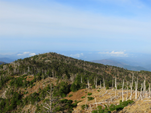 八経ヶ岳から弥山登山道