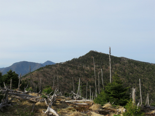 弥山方面から見る八経ヶ岳
