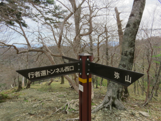 行者還トンネルへの分岐