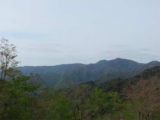 振り返っての八経ヶ岳・弥山遠望