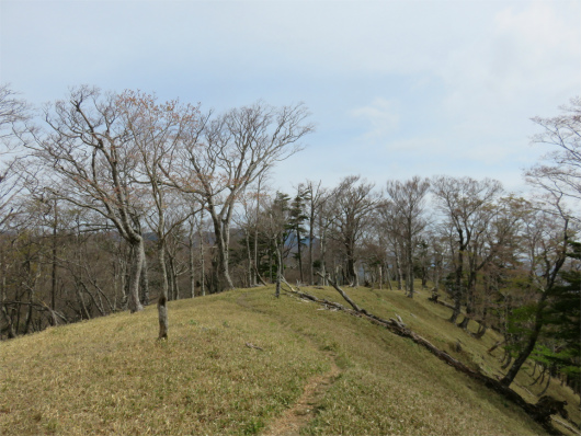 解放的な感じの行者還避難小屋方面登山道