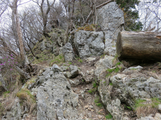 行者還岳から七曜岳