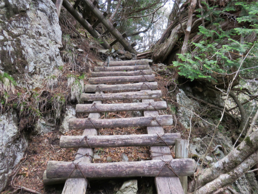 行者還岳登山道梯子の連続