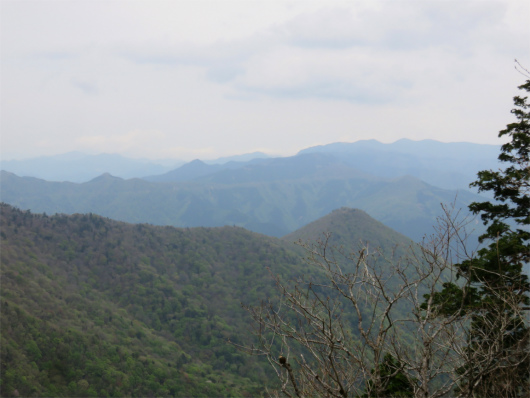 和佐又山遠望の景色