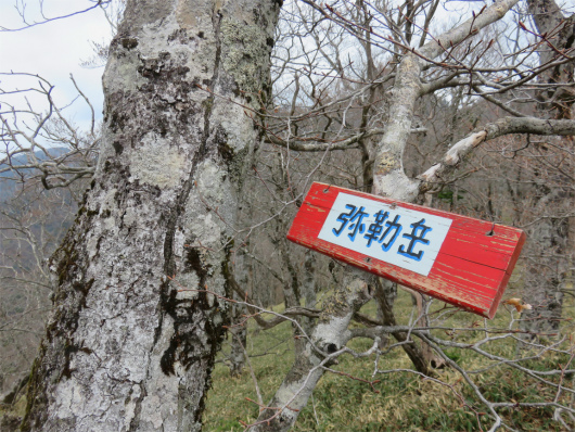 地味なお山