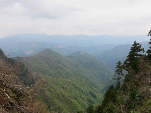 大普賢岳から大台ケ原景色