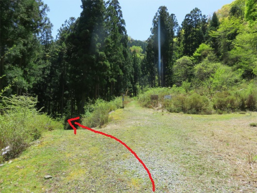 カナビキ尾根（頂仙岳）」と弥山川双門ルート分岐