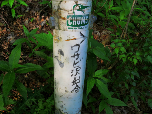 ワサビ沢分岐