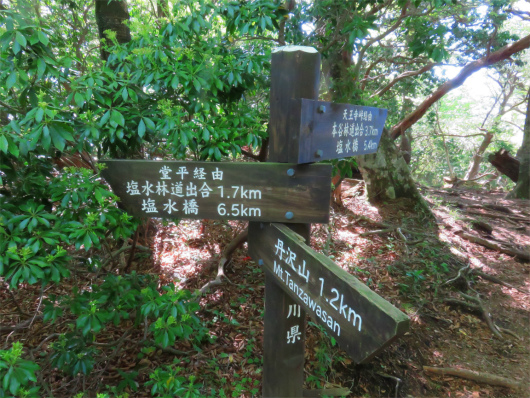 と天王寺尾根との分岐道標