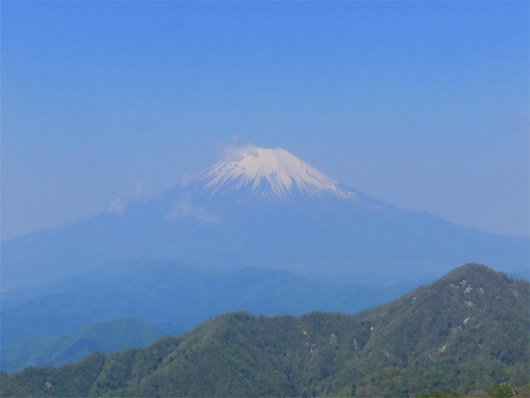 丹沢山から見る富士山