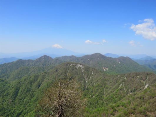 檜洞丸の後ろに富士山