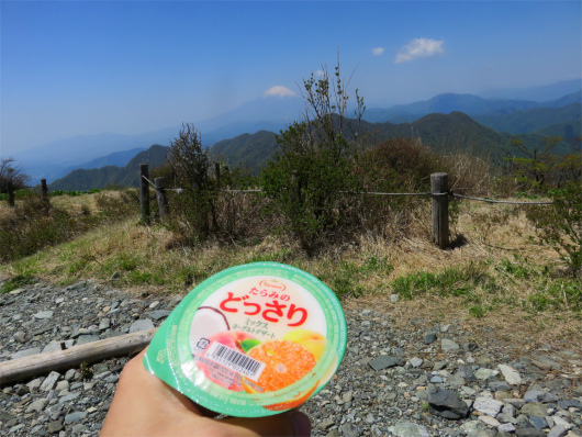 f:id:aohige0718:20180519143737j:plain ゼリー