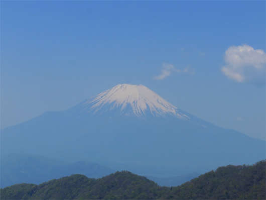 f:id:aohige0718:20180519143754j:plain 富士山