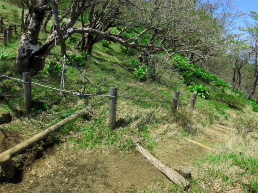 f:id:aohige0718:20180519143818j:plain 不動ノ峰休憩所の近くにある水場への分岐