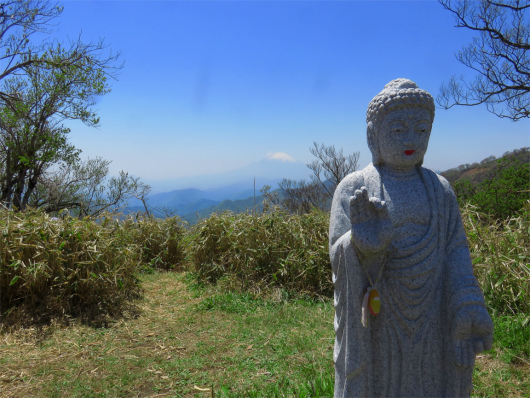 f:id:aohige0718:20180519143838j:plain 丹沢山山頂