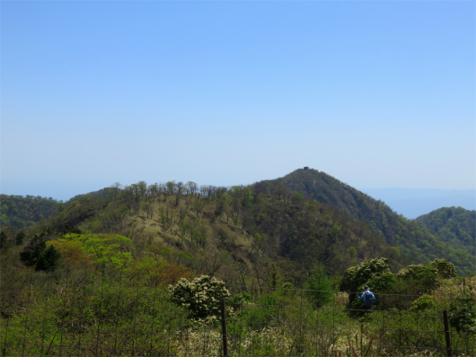 f:id:aohige0718:20180519143924j:plain 日高と塔ノ岳