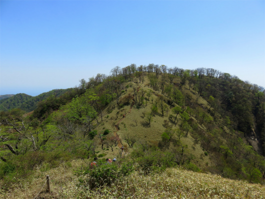 f:id:aohige0718:20180519143941j:plain 日高