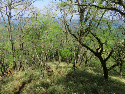 f:id:aohige0718:20180519144031j:plain 不明瞭な個所