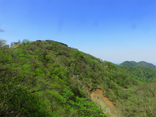 f:id:aohige0718:20180519144050j:plain 竜ヶ馬場の景色