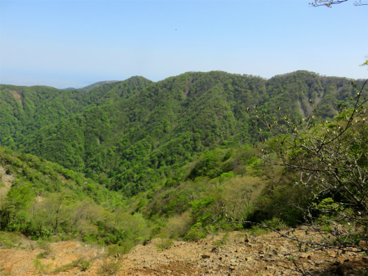 f:id:aohige0718:20180519144117j:plain 丹沢表尾根の展望