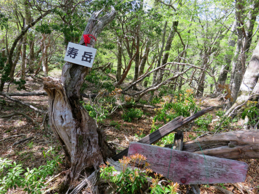 f:id:aohige0718:20180519144504j:plain 寿岳の山頂