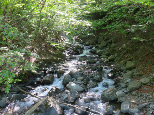 f:id:aohige0718:20180519144833j:plain キュウハ沢